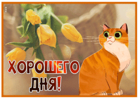 Picture необычная картинка хорошего дня с котиком и тюльпанами