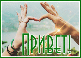 Postcard необычная открытка привет с анимацией