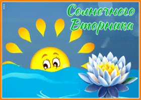 Picture необычная открытка солнечного вторника