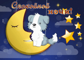 Picture неотразимая гиф-открытка с собачкой, спокойной ночи
