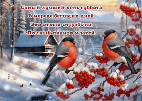 Postcard неповторимая гиф-открытка, самый лучший день суббота