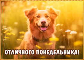 Postcard непревзойденная открытка с песиком отличного понедельника!