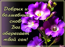 Postcard несравненная открытка, добрых и волшебных снов