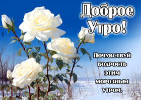 Postcard невероятная открытка, пусть утро будет бодрым