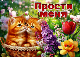 Picture незабываемая гиф-открытка, прости меня