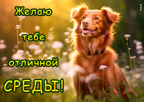 Postcard незабываемая открытка желаю тебе отличной среды!