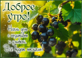Postcard незаменимая гиф-открытка, начни утро с позитива