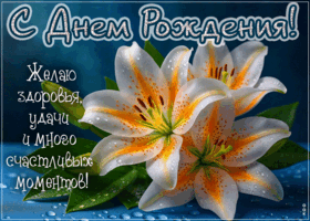 Postcard незаменимая гиф-открытка, здоровья и удачи в твой день рождения