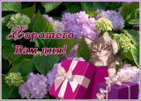 Открытка нежная картинка хорошего дня