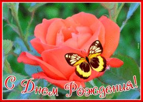 Картинка нежная картинка с днем рождения женщине