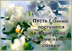 Открытка нежная картинка весна пришла