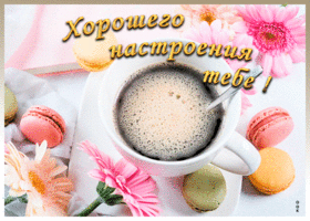 Картинка нежная открытка хорошего настроения