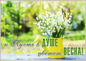 Картинка нежная открытка с ландышами