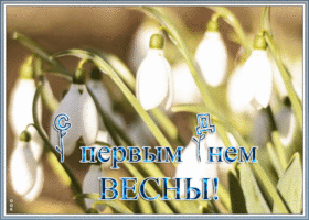 Открытка нежная открытка с первым днем весны