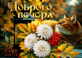 Postcard нежная гиф-открытка, волшебного вечера