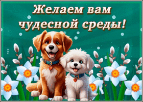 Postcard нежная гиф-открытка желает нежной среды