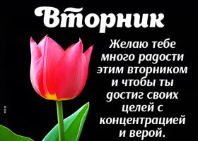 Postcard нежная как облачко открытка с радостным вторником