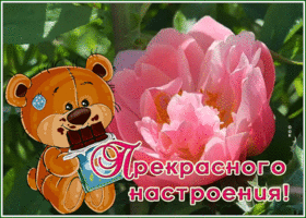 Postcard нежная картинка прекрасного настроения с мишкой