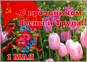 Picture нежная картинка с 1 мая