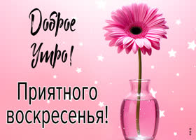 Picture нежная открытка, приятного воскресенья