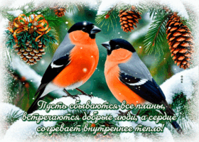 Postcard нежная открытка, с искренними пожеланиями