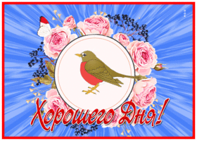 Picture нежная открытка хорошего дня с птицей