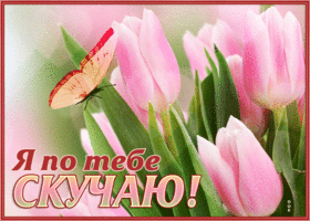 Picture нежная открытка я по тебе скучаю с тюльпанами