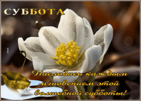 Picture нежно-красивая гиф-открытка, насладись каждым мгновением субботы