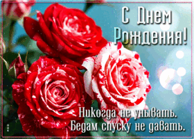 Picture никогда не унывать, бедам скидку не давать