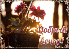 Картинка новая картинка добрый вечер