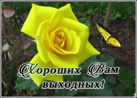 Картинка новая картинка хороших выходных