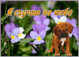 Открытка новая картинка скучаю