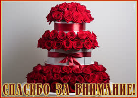 Postcard новая картинка спасибо за внимание