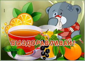 Открытка новая картинка выздоравливай