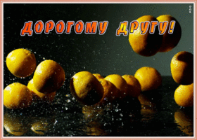 Картинка новая открытка другу