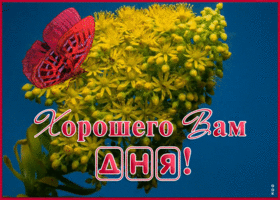 Открытка новая открытка хорошего дня