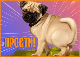 Картинка новая открытка прости