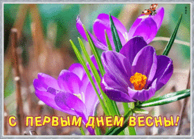 Открытка новая открытка с первым днем весны