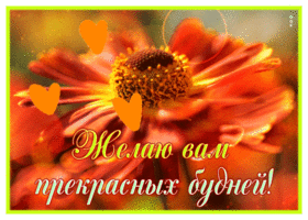 Picture новая открытка с пожеланием прекрасных будней