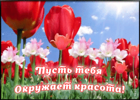 Картинка новая открытка с пожеланиями