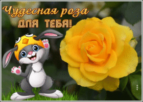 Открытка новая открытка с розой