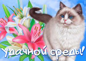 Картинка новая открытка со средой