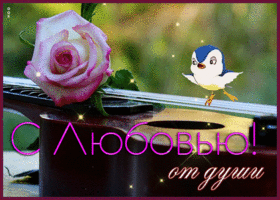 Postcard обворожительная открытка с розой, от души и с любовью