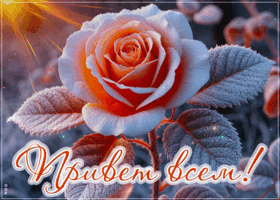 Postcard очаровательная гиф-открытка, привет всем