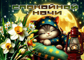 Picture очаровательная гиф-открытка, пусть снятся прекрасные сны