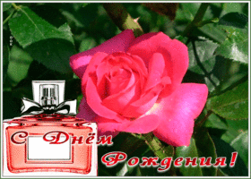 Picture очаровательная гиф-открытка с днем рождения женщину