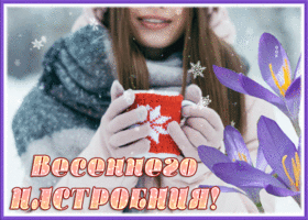 Picture очаровательная открытка для весеннего настроения
