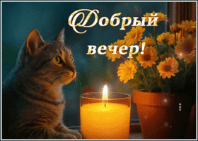 Picture очаровательнаягиф-открытка, добрый вечерок