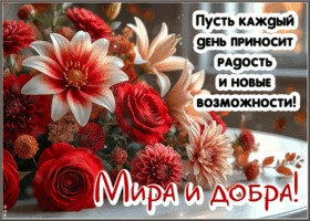 Picture очаровательнейшая гиф-открытка, пусть каждый день приносит радость