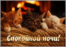 Picture очаровательнейшая гиф-открытка, сладких снов